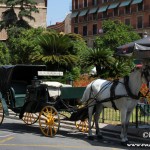 Plaza de la Reina - Valencia